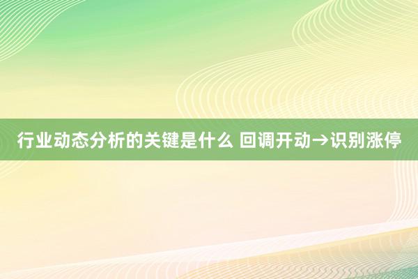 行业动态分析的关键是什么 回调开动→识别涨停