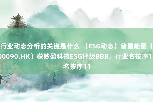 行业动态分析的关键是什么 【ESG动态】普星能量（00090.HK）获妙盈科技ESG评级BBB，行业名按序11