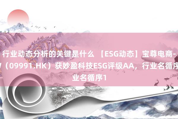 行业动态分析的关键是什么 【ESG动态】宝尊电商-W（09991.HK）获妙盈科技ESG评级AA，行业名循序1